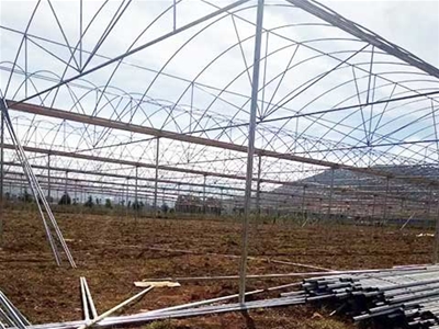 紅河州瀘西的李師，建造3600平方的蔬菜大棚。